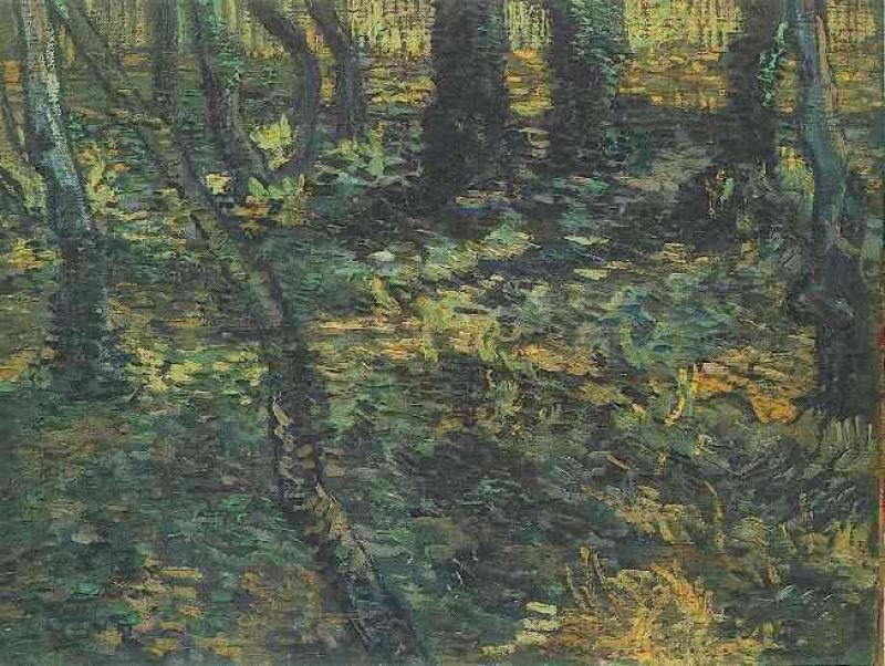 1889 lierre en sous-bois.jpg